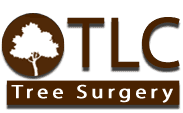 For tree surgeons in Leven contact TLC Tree Surgery
